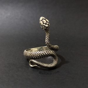 Anillo Serpiente Plateada