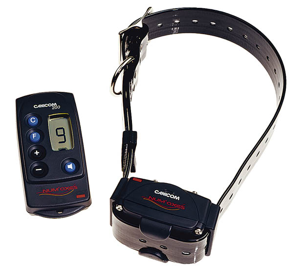 CANICOM 200 - Imagen 2