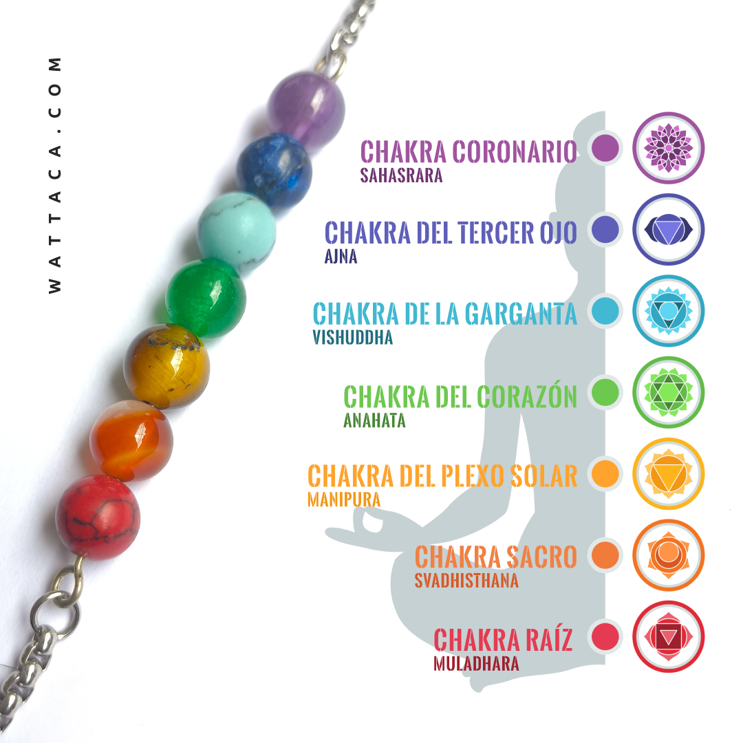 Collar 7 Chakras Acero Inoxidable - Imagen 4