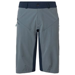 Men’s Moab Shorts V