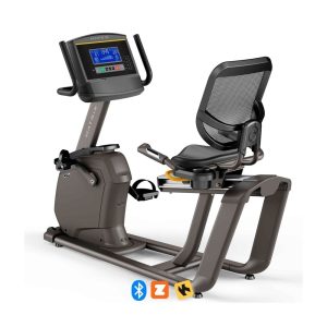 Bicicleta Reclinada Matrix Recumbent Bike R30XR