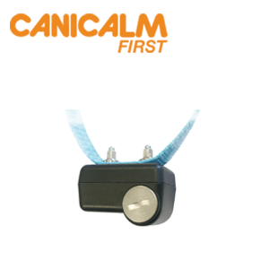 CANICALM FIRST