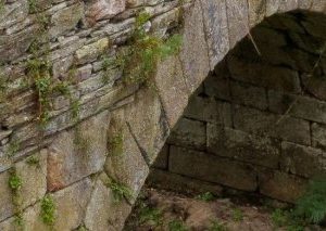 Camino de Santiago desde Sarria 5 etapas (Socios Sprinter)