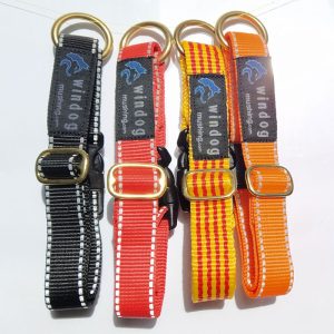 Collar Mushing con cierre