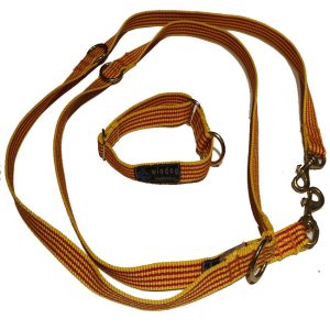 Pack Correa Adiestramiento + Collar Bronce