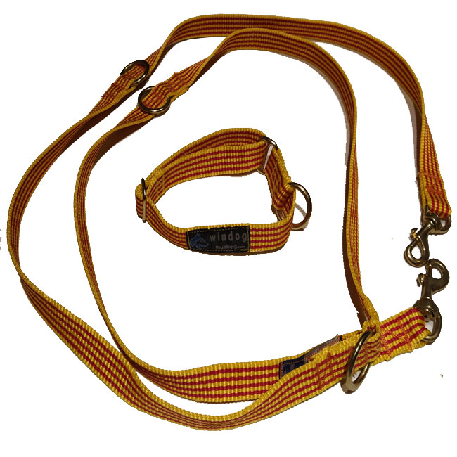 Pack Correa Adiestramiento + Collar Bronce - Imagen 2