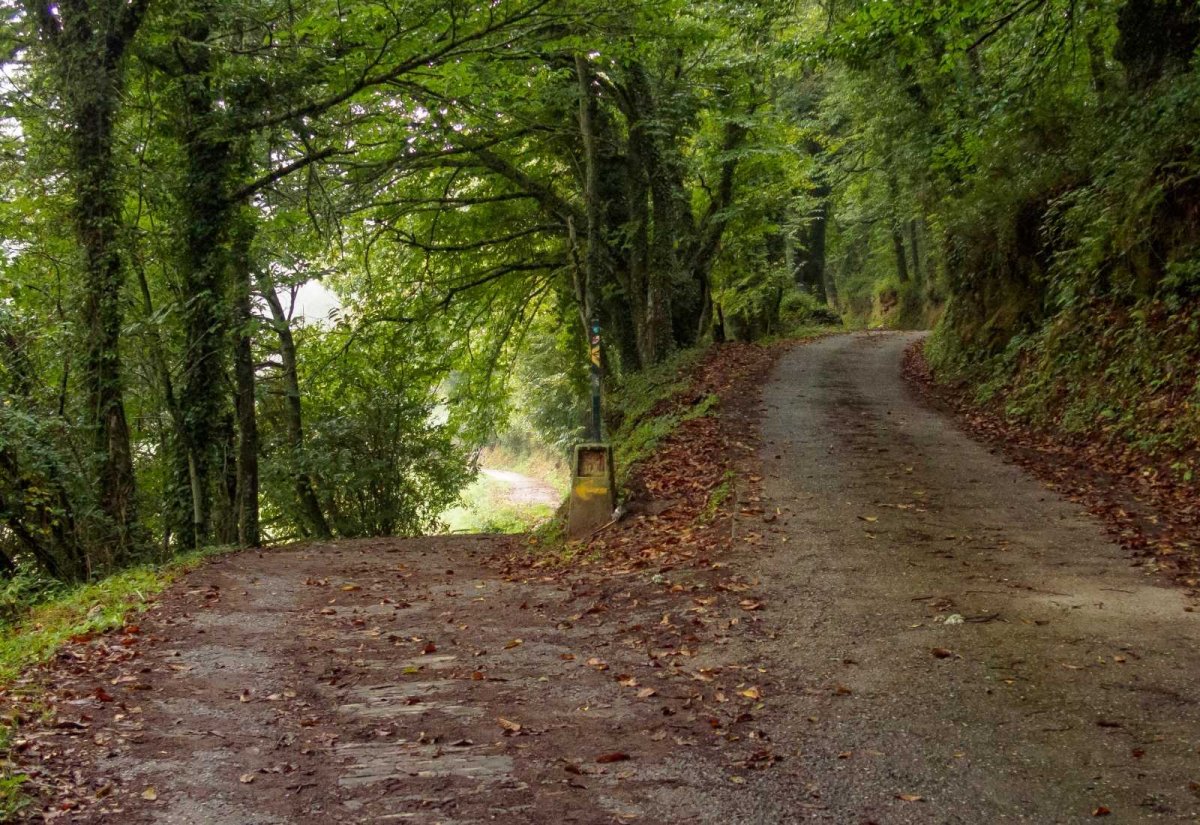 Camino Francés desde Sarria en 6 etapas - Imagen 3