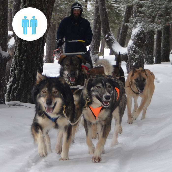 Mushing Andorra: Pack 2 personas Paseo y Conducción 30 min