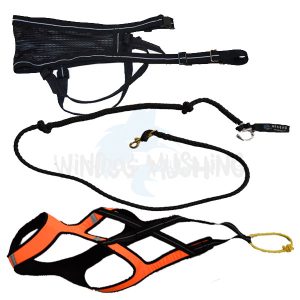 Kit Canicross – T-Shirt