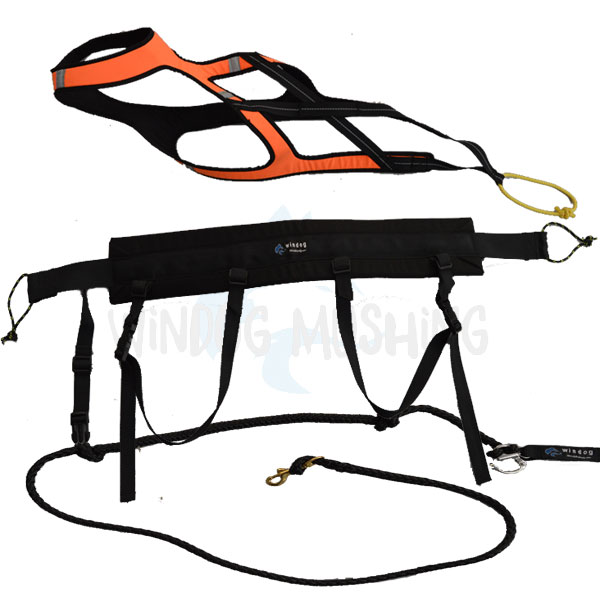 Kit Canicross – Orange - Imagen 2