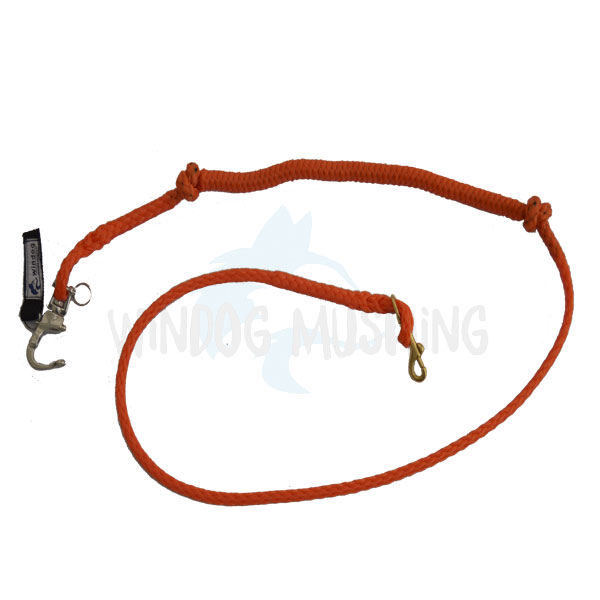 Linea tiro Canicross – Competición - Imagen 2