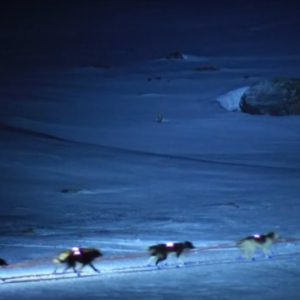 Andorra Mushing, paseo nocturno 4 km