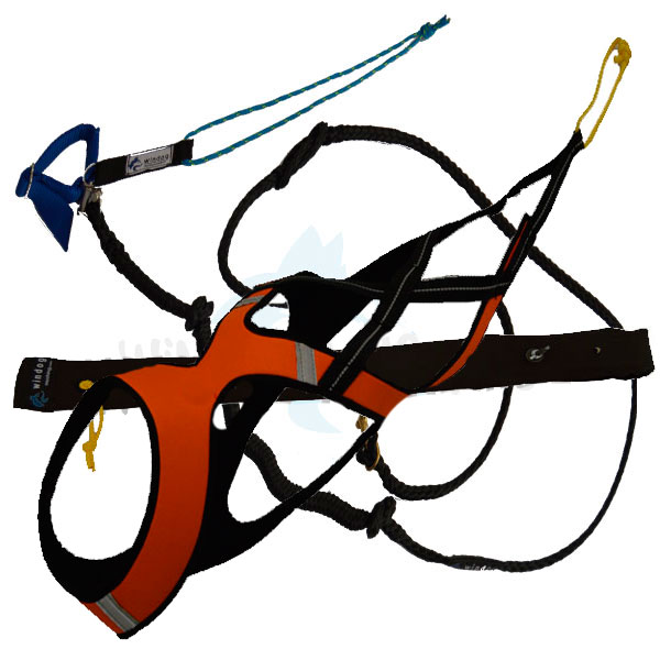 Pack Bikejoring para 1 perro - Imagen 2