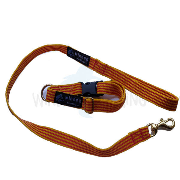 Pack Collar + correa senyera - Imagen 2