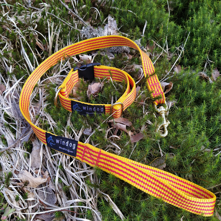 Pack Collar + correa senyera - Imagen 3