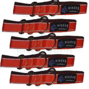 Collar Reflectante Bronce pack 5 unidades