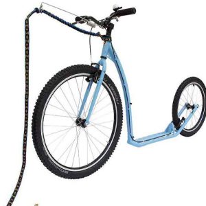 Mushing Scooter Mushing