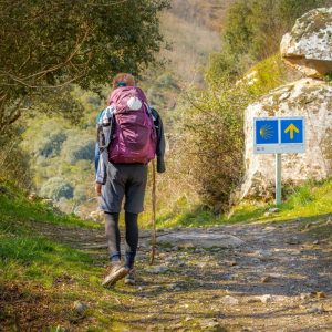 Camino Weekend desde Melide