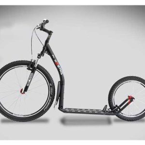 Bikejoring Scooter Kick