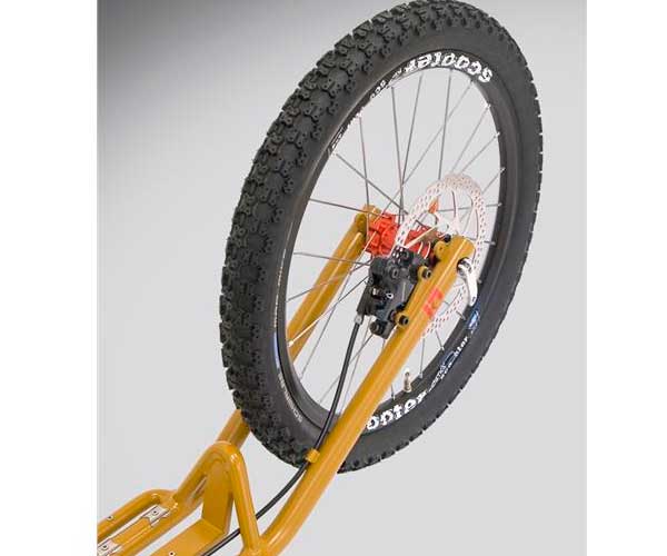 Mushing Scooter Max - Imagen 5