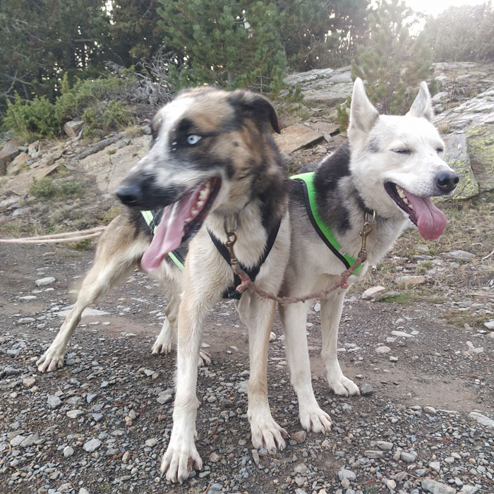 Vale Regalo - Imagen 4