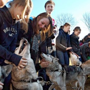 Mushing Formativo para grupos escolares