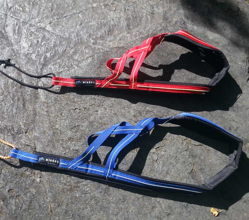 Kit Canicross Competición - Imagen 4