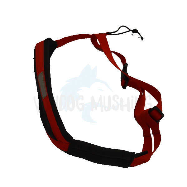 Canicross Arnes iniciación