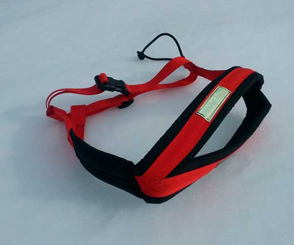 Canicross Arnes iniciación - Imagen 3