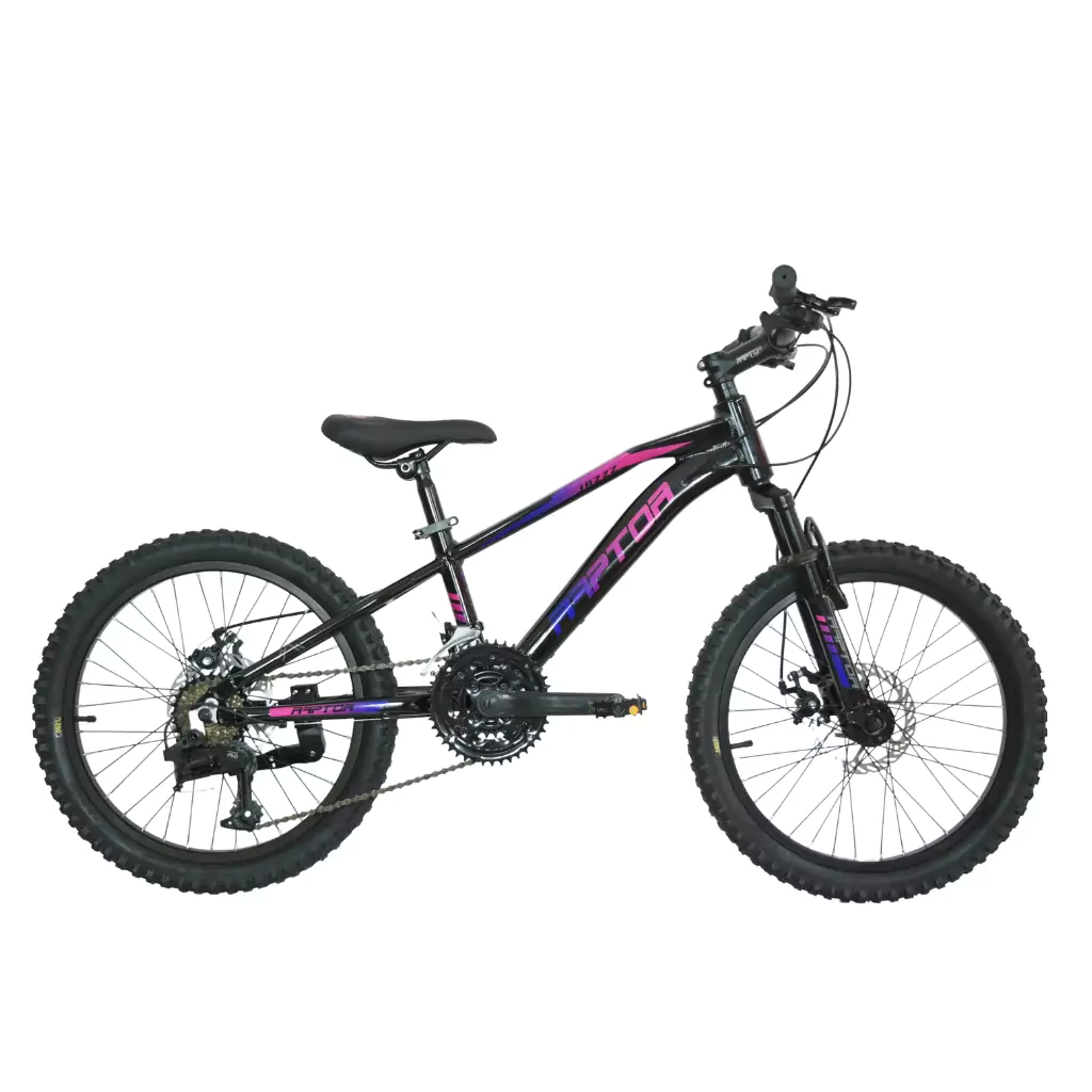 BICICLETA PARA NIÑOS RAPTOR JAZZZ 20 - Imagen 4