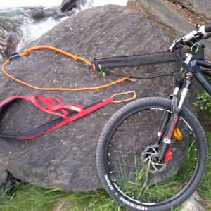 Bikejoring pack Completo