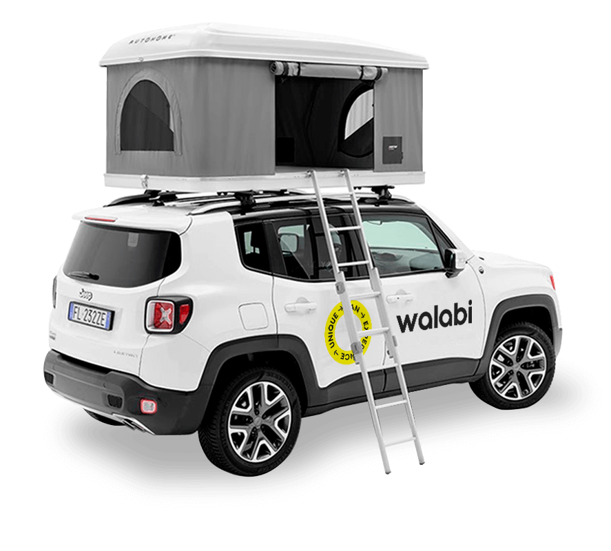 Camper van con tienda techo