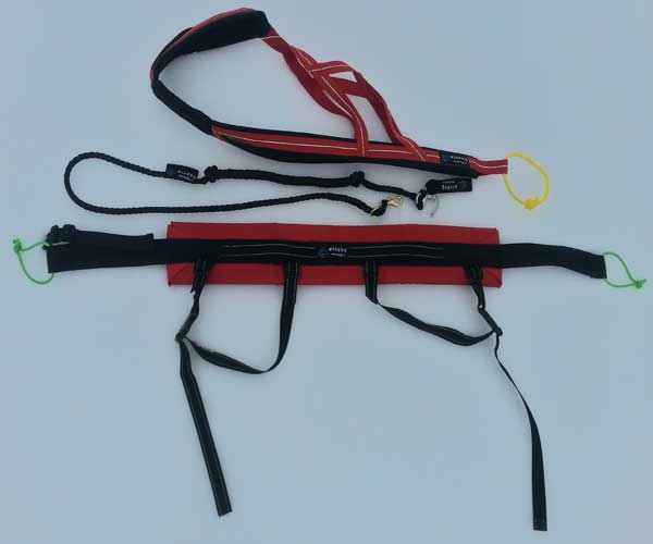 Kit Canicross Competición