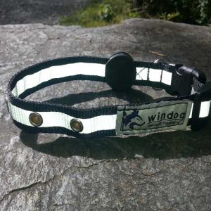 Collar Perro – Led