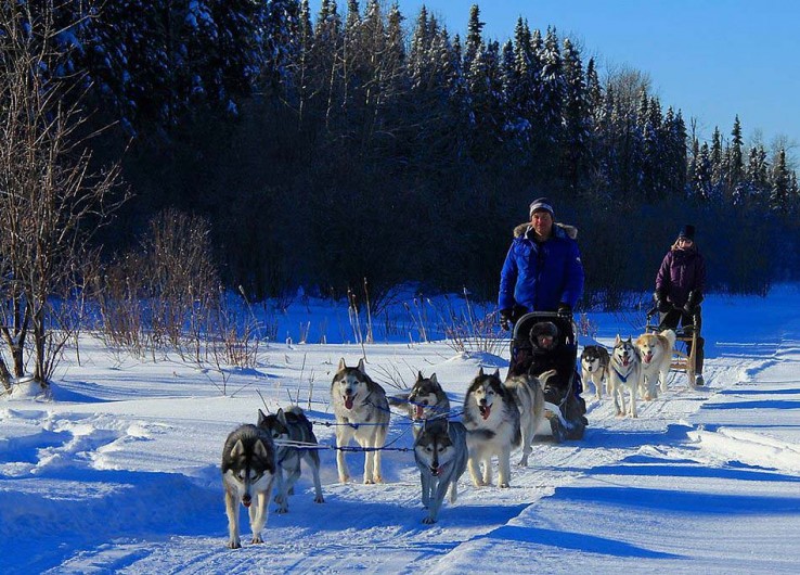 Mushing Andorra: Pack 2 personas Paseo y Conducción 30 min - Imagen 3