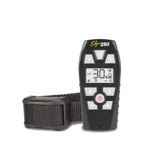 COLLAR DOGTRACE EDGE 250