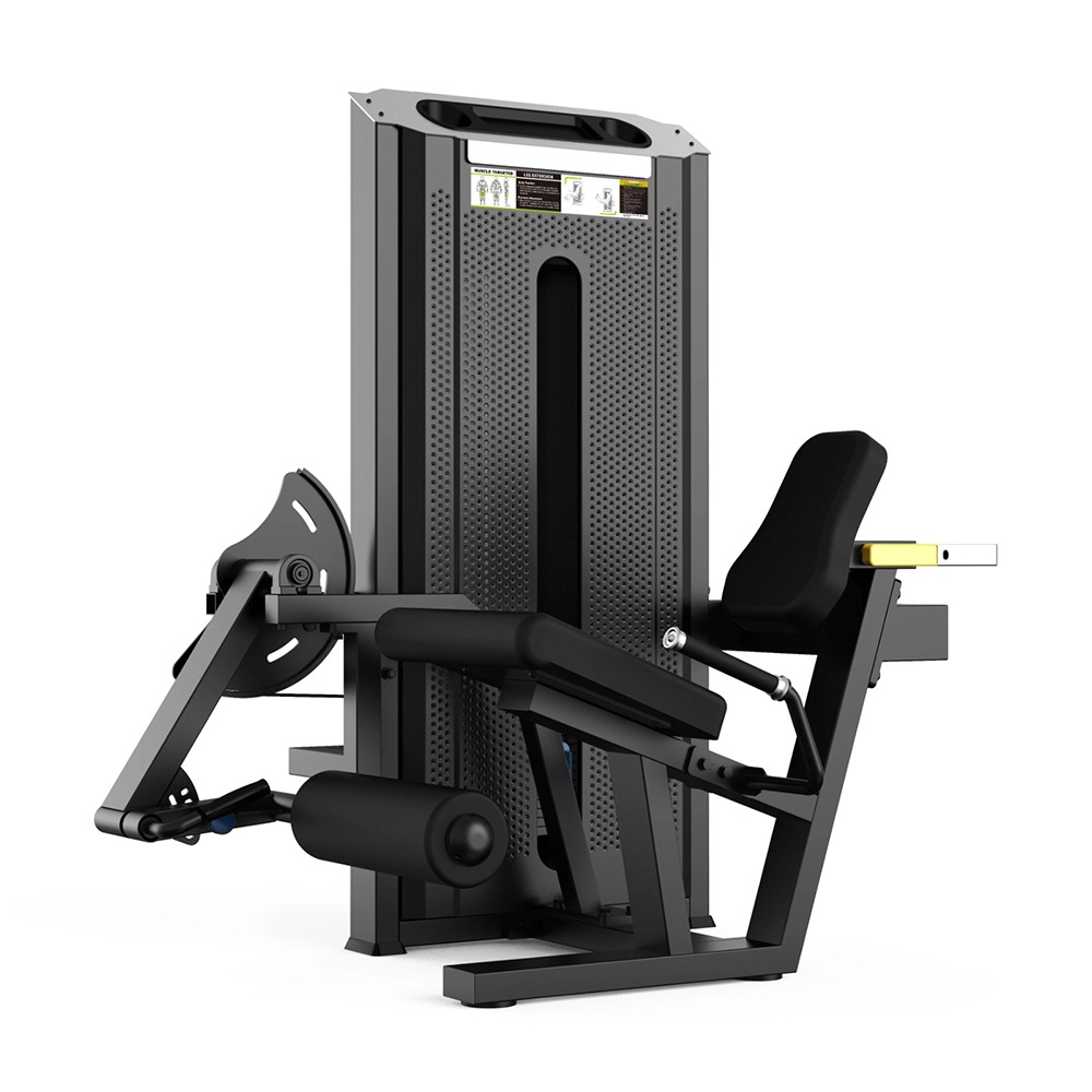 Z54 DUAL EXTENSIÓN FEMORAL