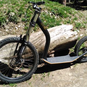 Gravity Scooter Mushing