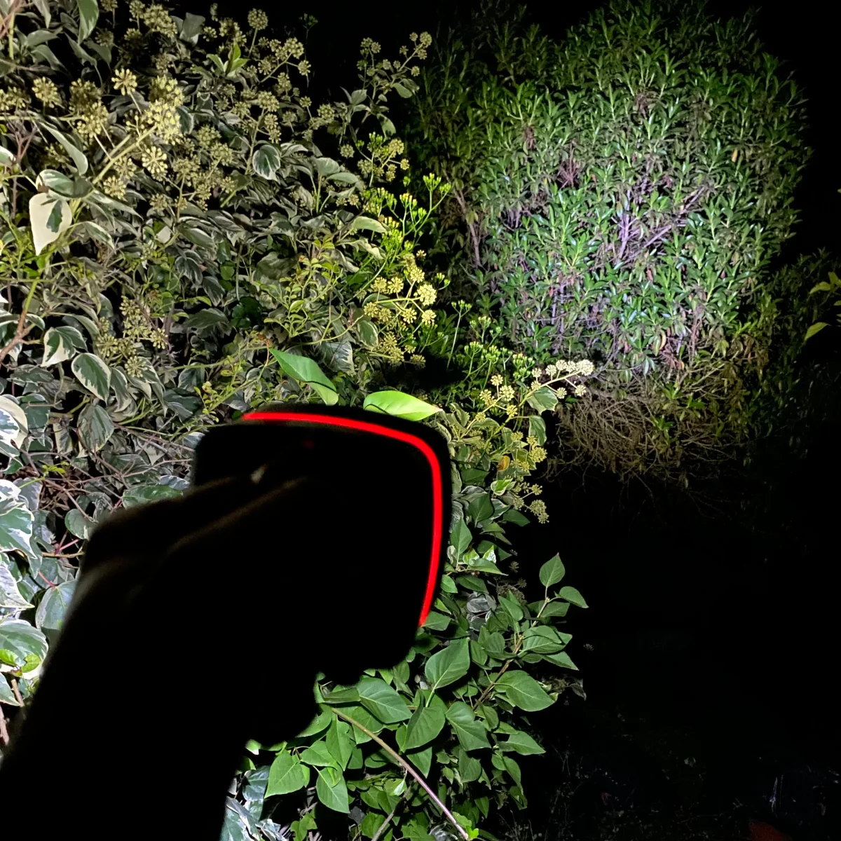 Luz Multifunción - Imagen 4