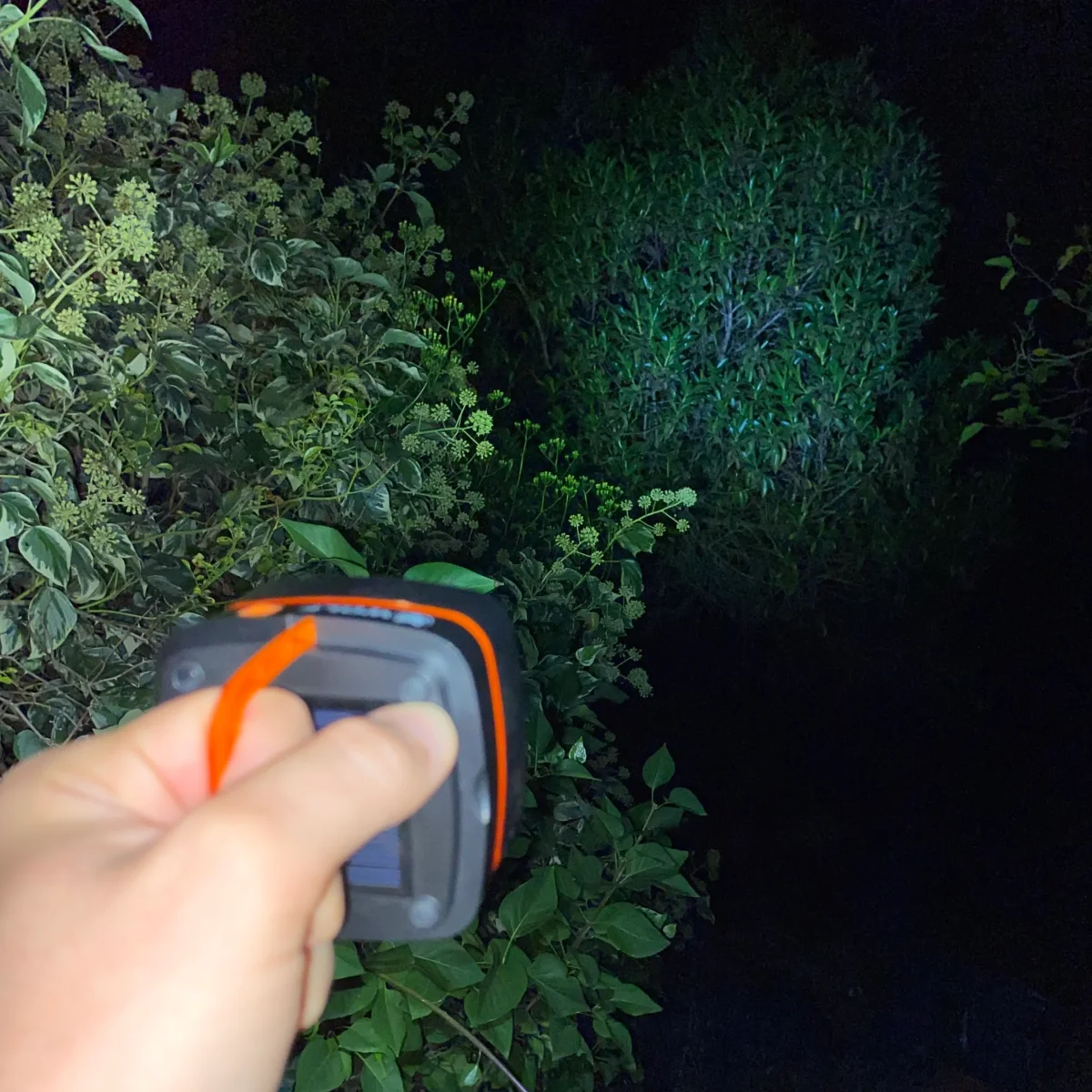 Luz Multifunción - Imagen 3