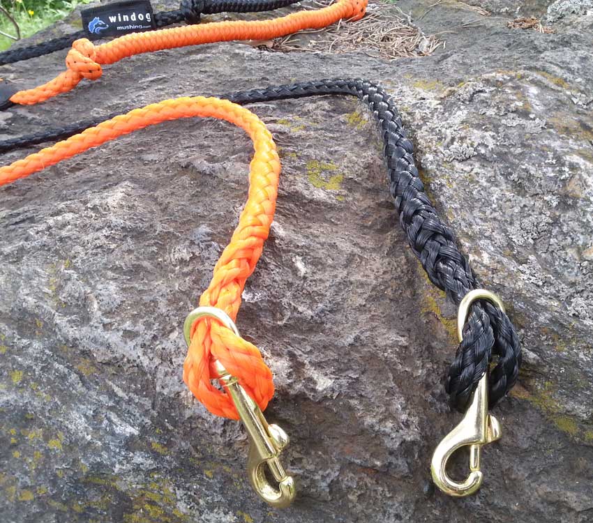 Linea tiro Canicross – Competición - Imagen 4