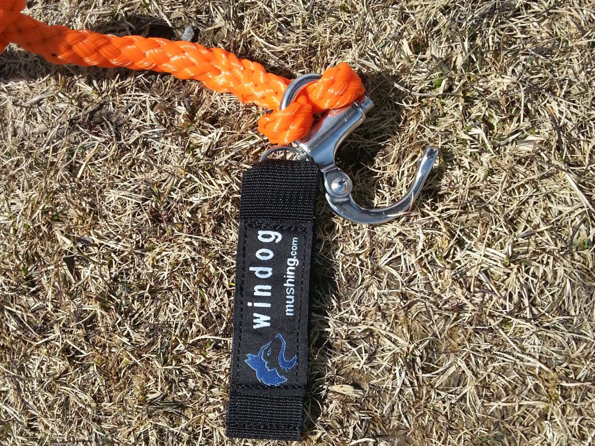 Linea tiro Canicross – Competición - Imagen 3