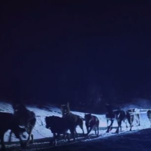 Andorra Mushing paseo nocturno 6 km