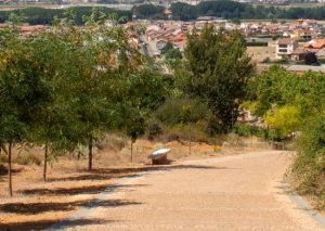 Camino Francés desde Astorga a Santiago de Compostela
