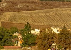 Camino Francés desde Burgos a León