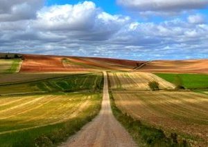 Camino Francés desde Logroño a Burgos