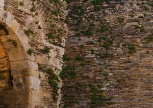 Camino Primitivo desde Lugo