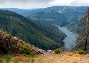 Camino Primitivo desde Oviedo a Lugo