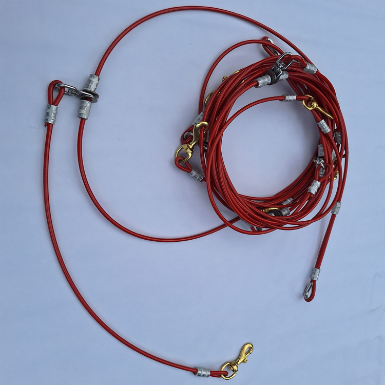 Stake out Mushing - Imagen 3